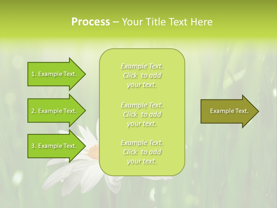 Close Up Daisy Herb PowerPoint Template