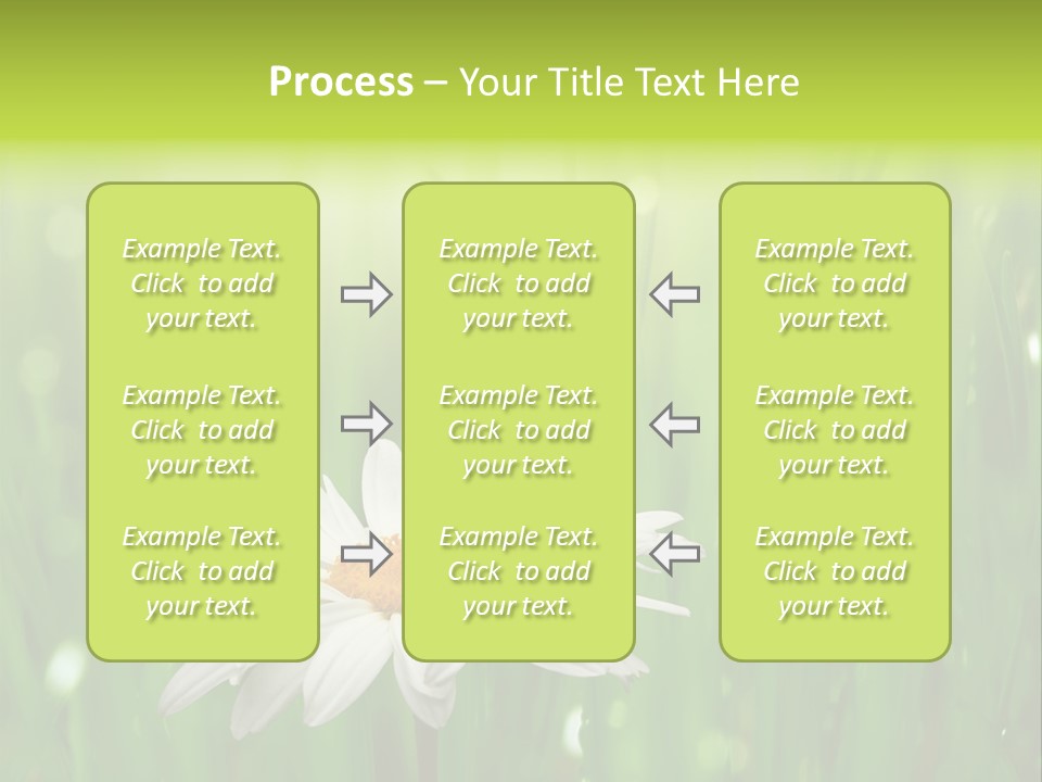 Close Up Daisy Herb PowerPoint Template