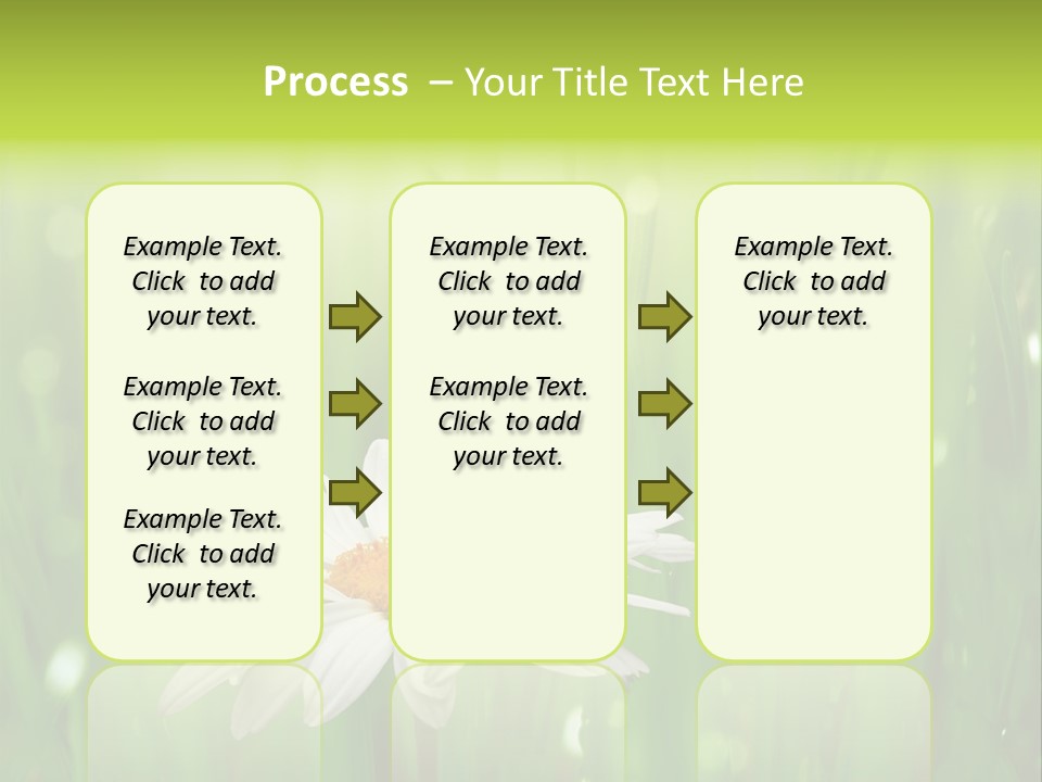 Close Up Daisy Herb PowerPoint Template