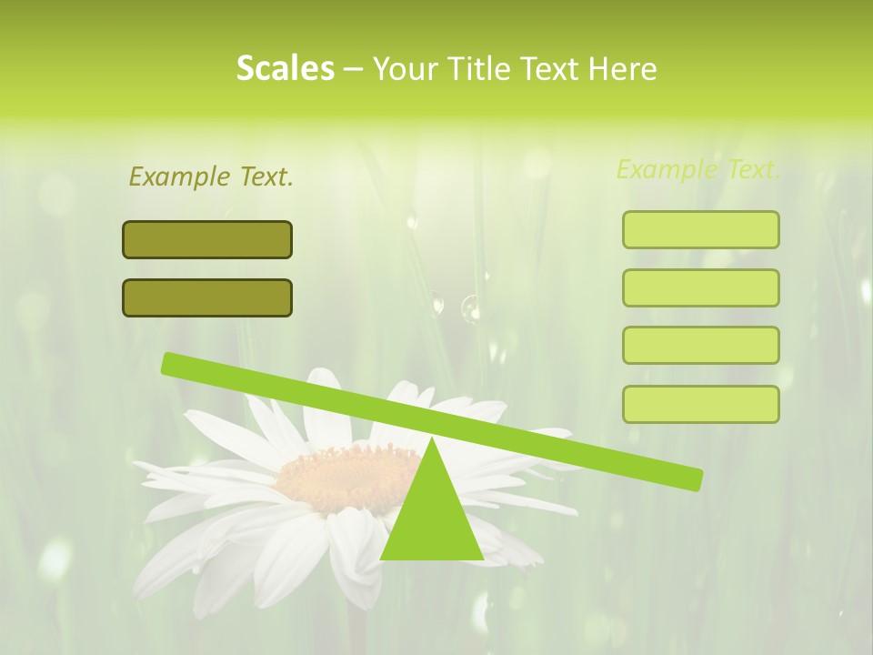 Close Up Daisy Herb PowerPoint Template