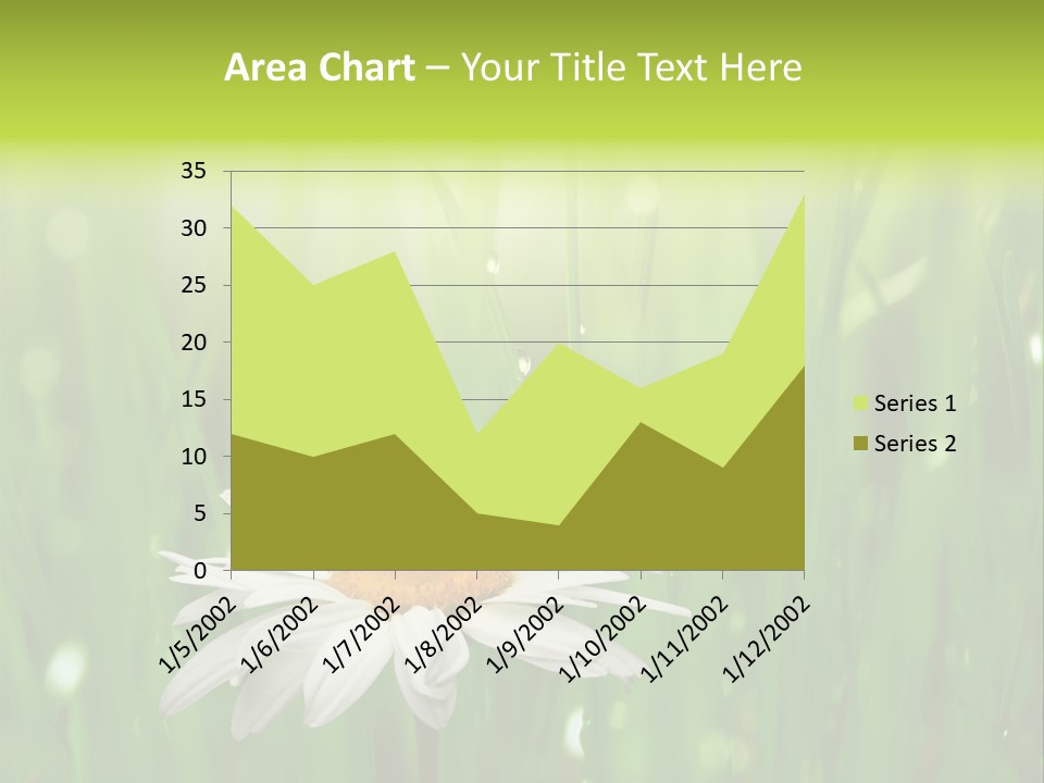 Close Up Daisy Herb PowerPoint Template