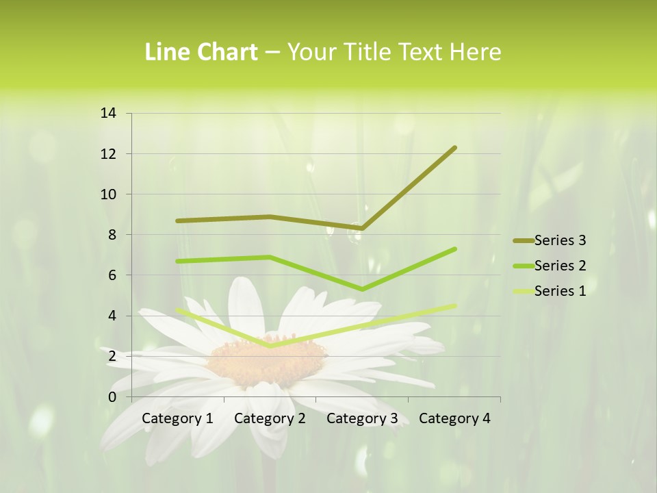 Close Up Daisy Herb PowerPoint Template