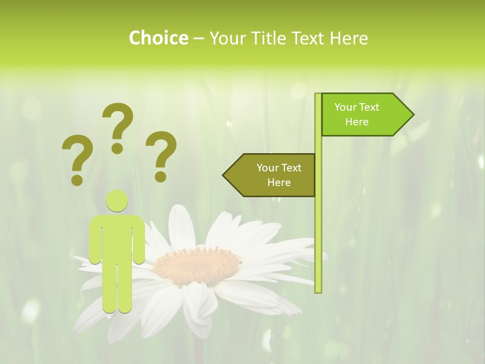 Close Up Daisy Herb PowerPoint Template