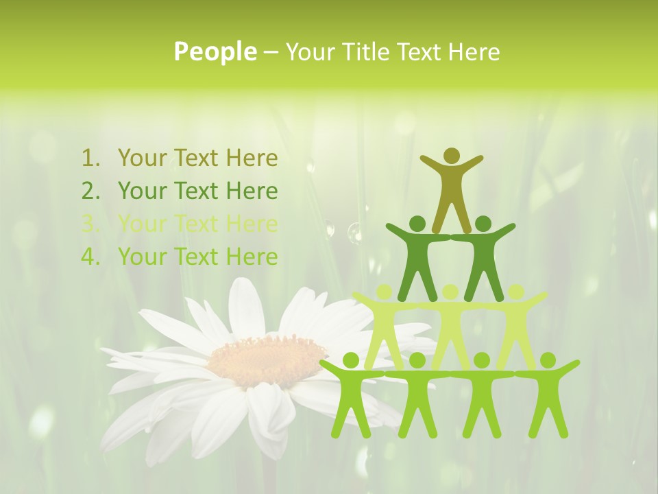 Close Up Daisy Herb PowerPoint Template