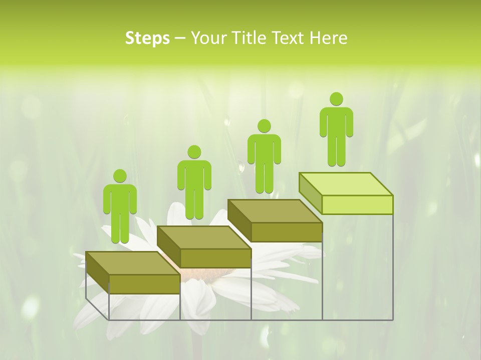 Close Up Daisy Herb PowerPoint Template