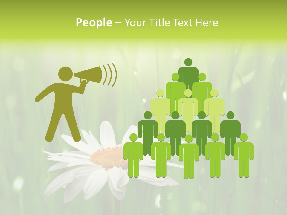 Close Up Daisy Herb PowerPoint Template