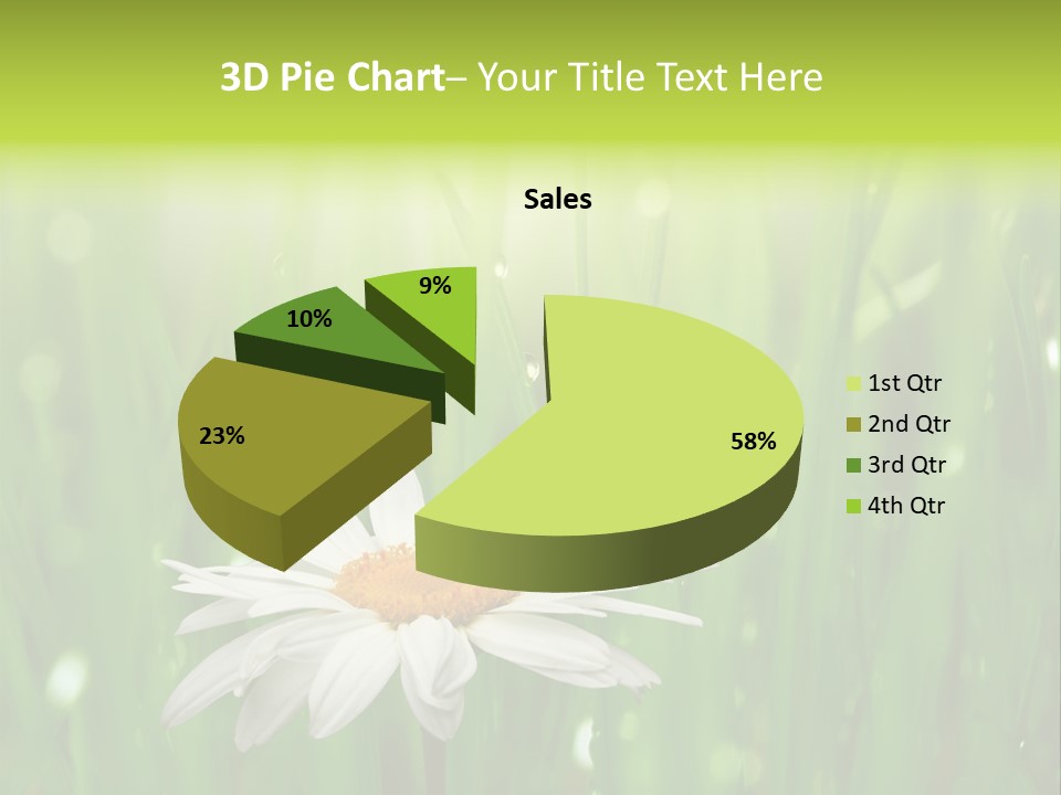 Close Up Daisy Herb PowerPoint Template