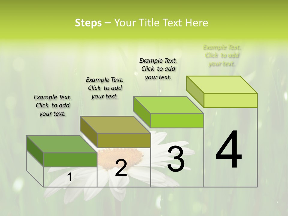 Close Up Daisy Herb PowerPoint Template