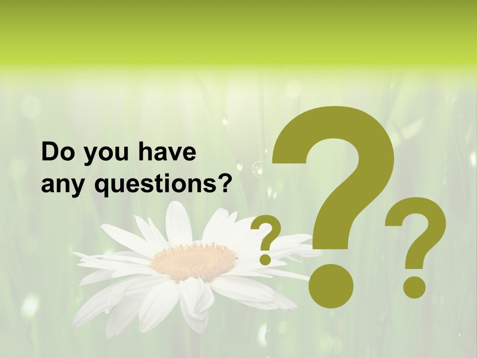 Close Up Daisy Herb PowerPoint Template