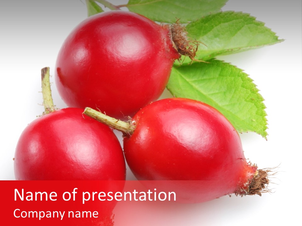 Berry Group Herb PowerPoint Template