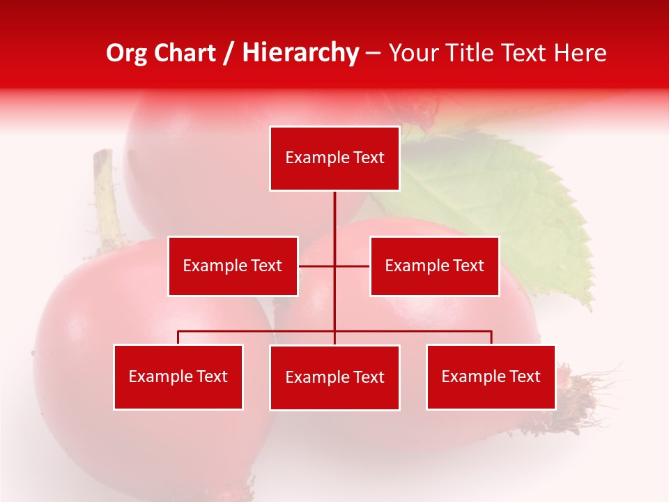 Berry Group Herb PowerPoint Template