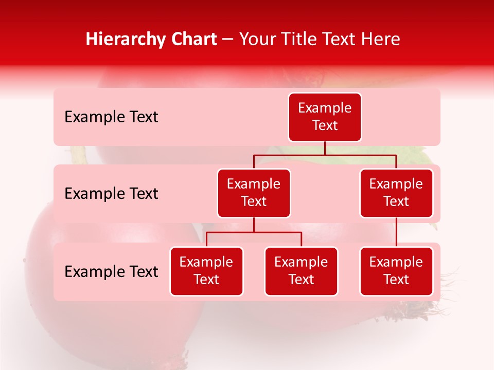 Berry Group Herb PowerPoint Template