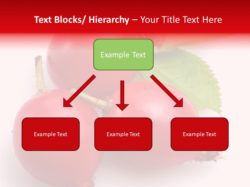 Berry Group Herb PowerPoint Template