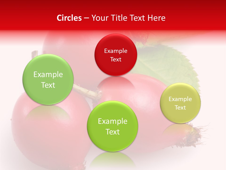 Berry Group Herb PowerPoint Template