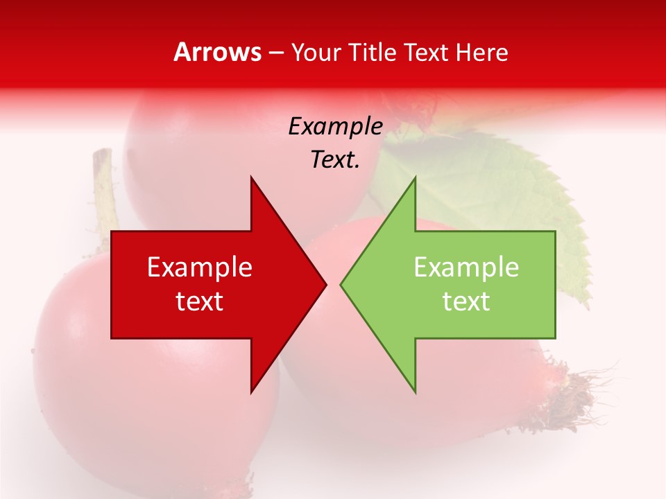 Berry Group Herb PowerPoint Template