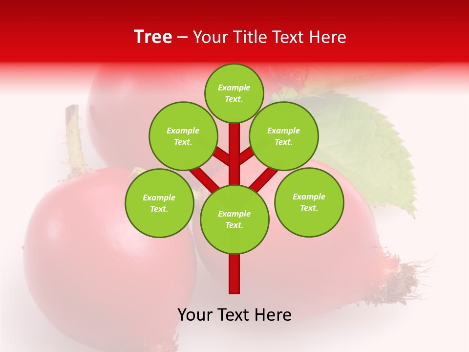 Berry Group Herb PowerPoint Template