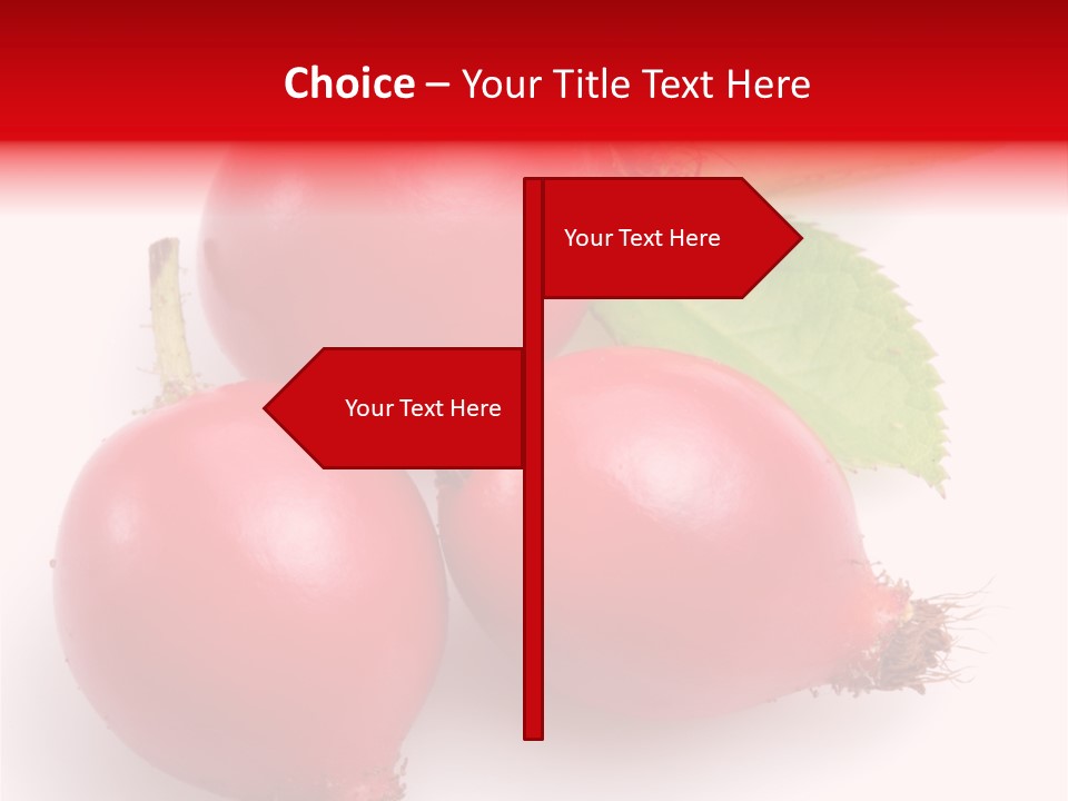 Berry Group Herb PowerPoint Template