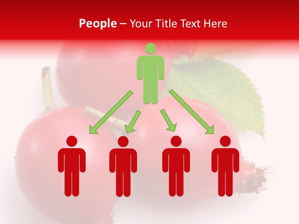 Berry Group Herb PowerPoint Template