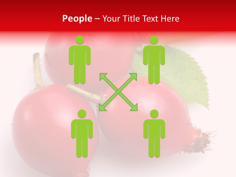 Berry Group Herb PowerPoint Template