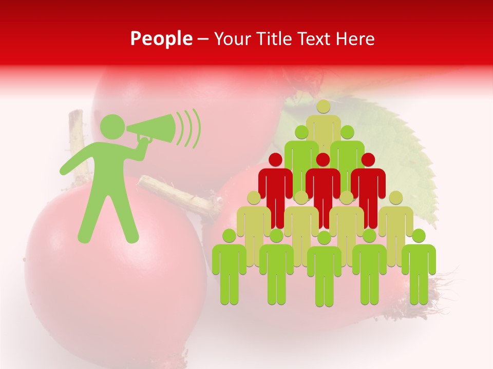 Berry Group Herb PowerPoint Template