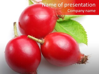 Berry Herb Rose PowerPoint Template