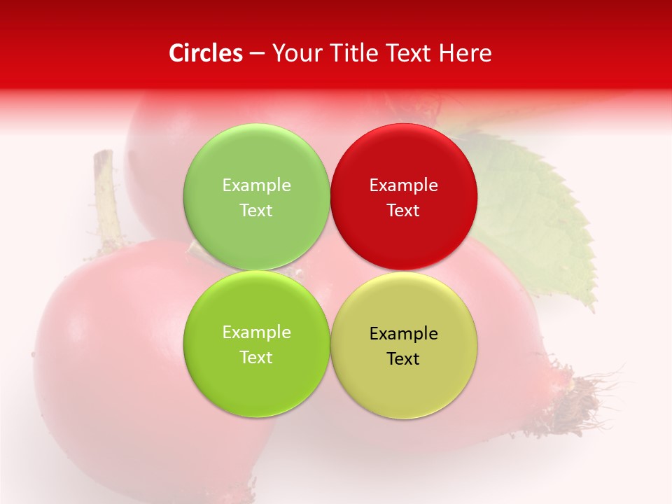 Berry Herb Rose PowerPoint Template