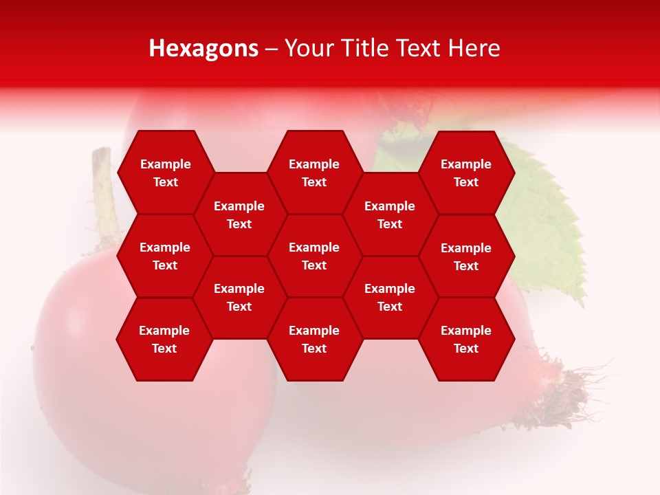 Berry Herb Rose PowerPoint Template