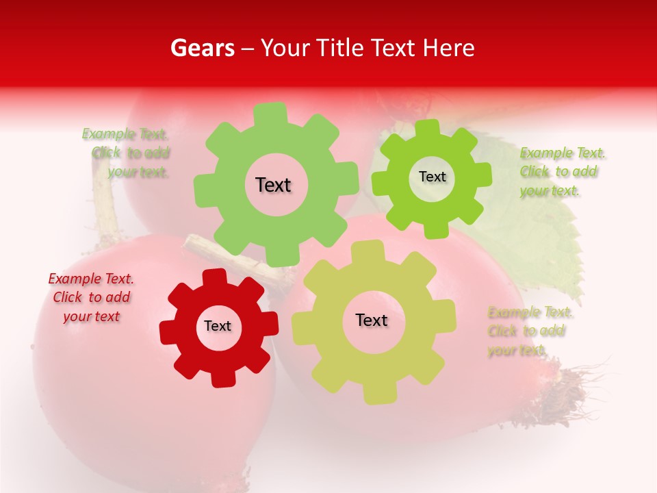 Berry Herb Rose PowerPoint Template