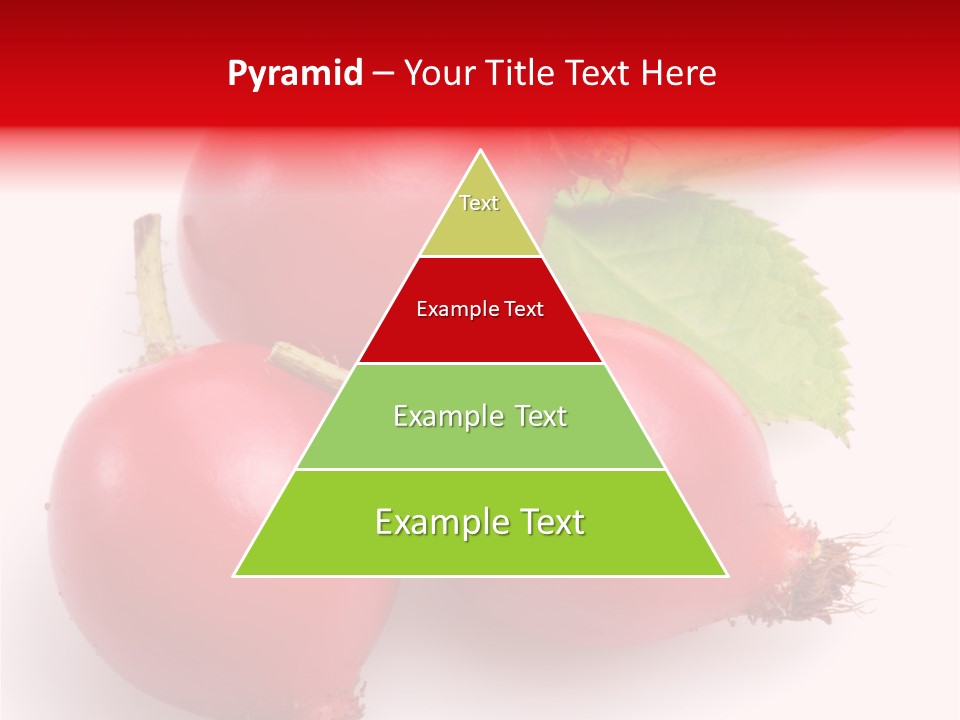 Berry Herb Rose PowerPoint Template