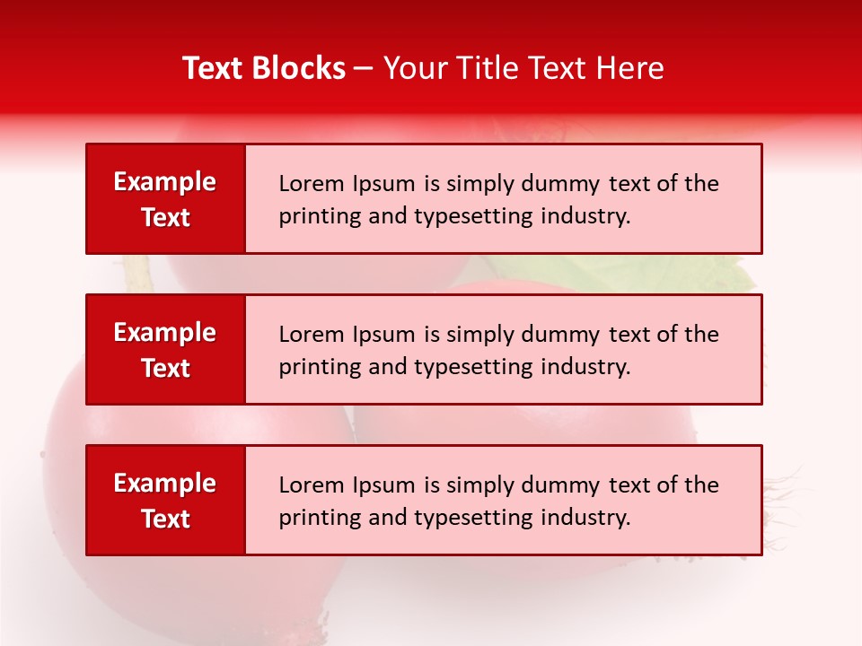 Berry Herb Rose PowerPoint Template