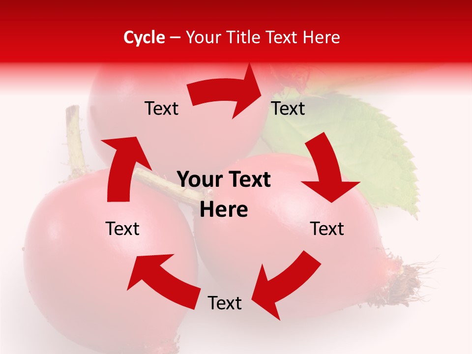 Berry Herb Rose PowerPoint Template