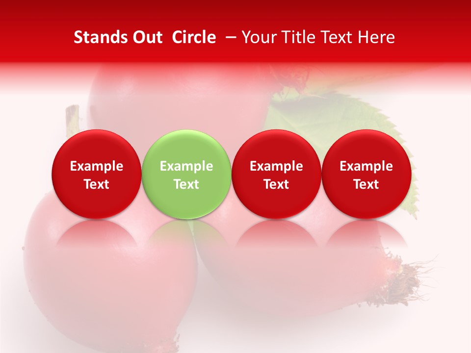 Berry Herb Rose PowerPoint Template