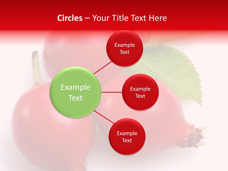 Berry Herb Rose PowerPoint Template