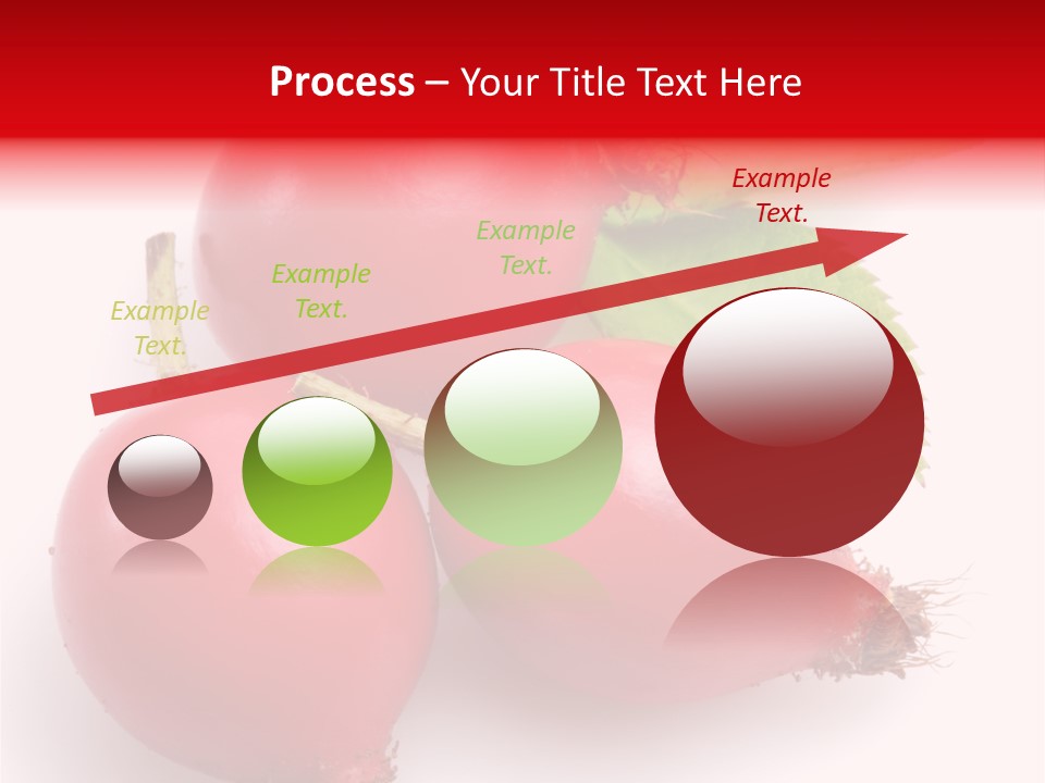 Berry Herb Rose PowerPoint Template