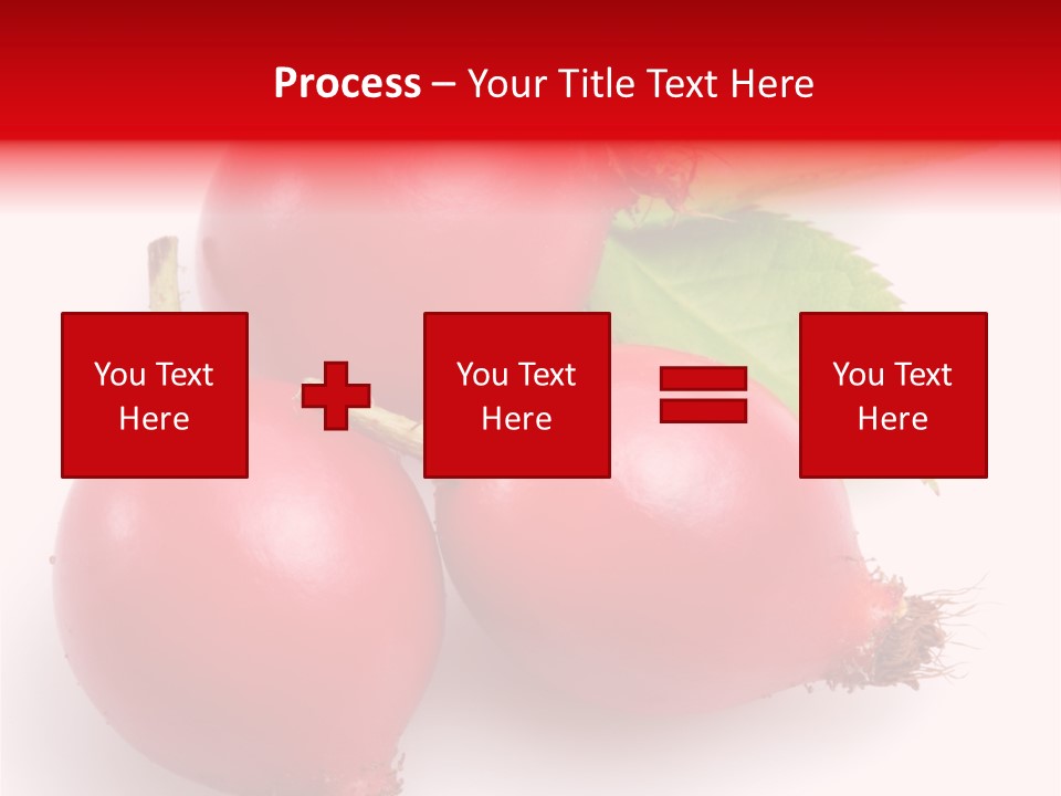 Berry Herb Rose PowerPoint Template