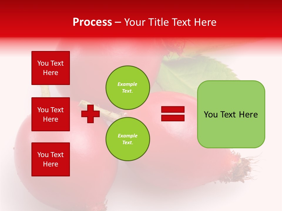 Berry Herb Rose PowerPoint Template
