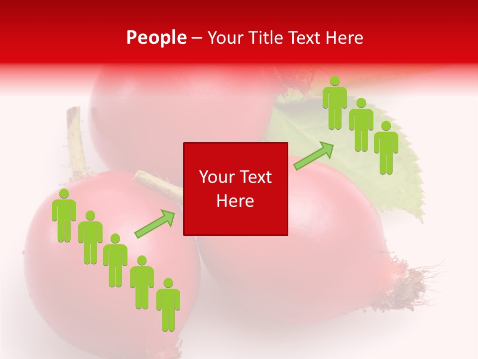 Berry Herb Rose PowerPoint Template