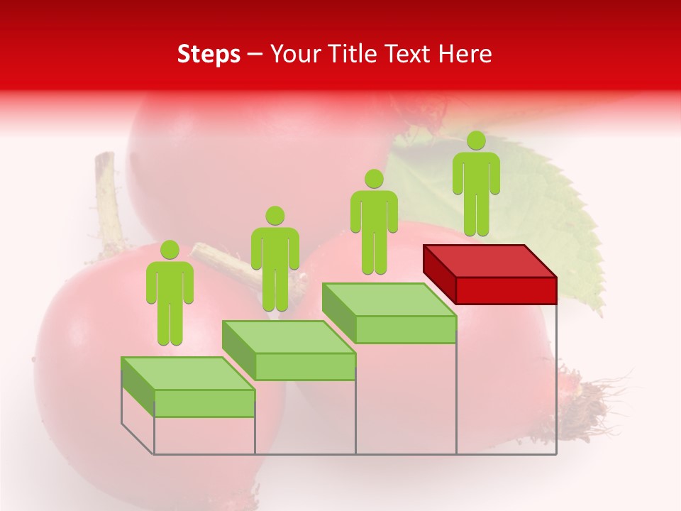 Berry Herb Rose PowerPoint Template