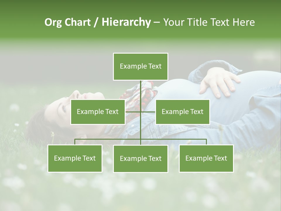Belly New Life Grass PowerPoint Template
