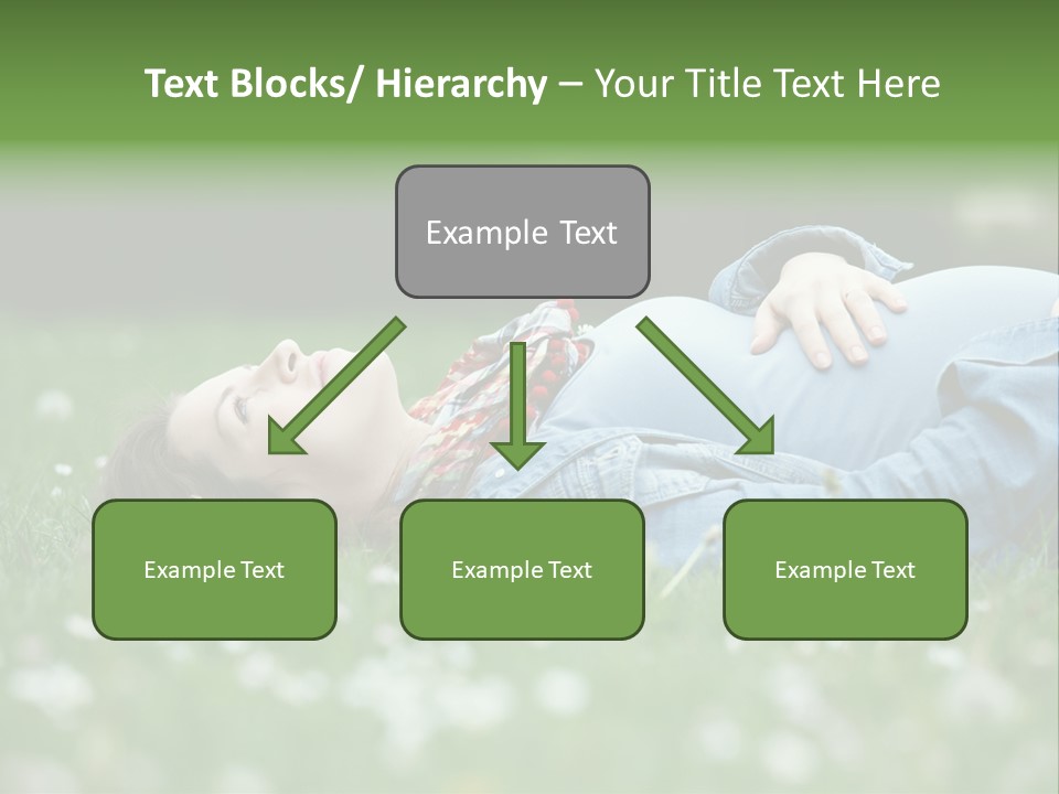 Belly New Life Grass PowerPoint Template