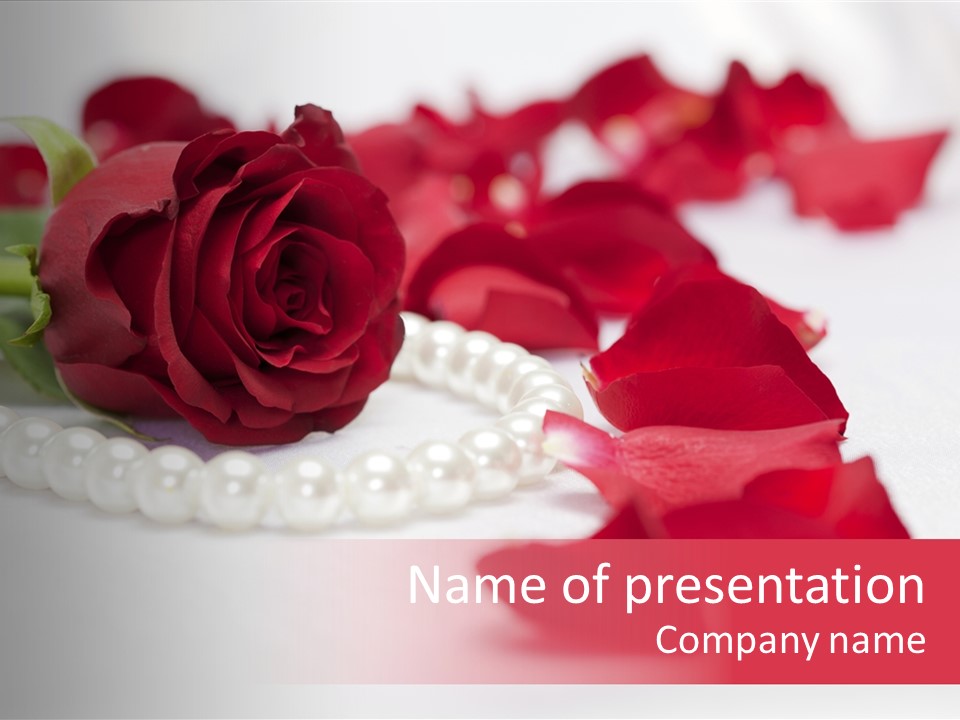 Blossom Satin Celebration PowerPoint Template