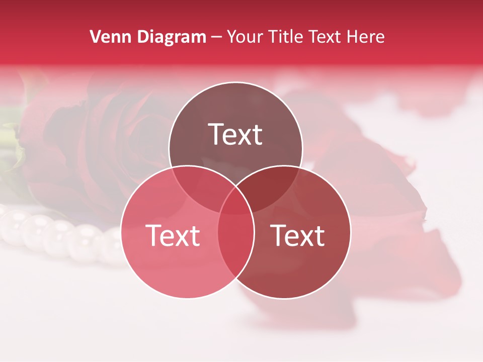 Blossom Satin Celebration PowerPoint Template