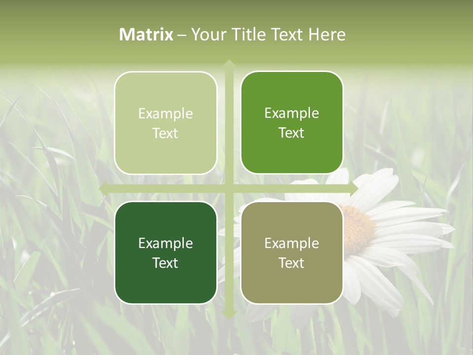 Sunlight Herbal Growth PowerPoint Template