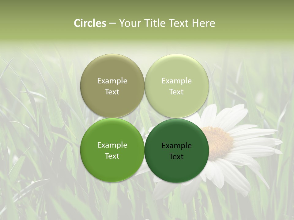 Sunlight Herbal Growth PowerPoint Template