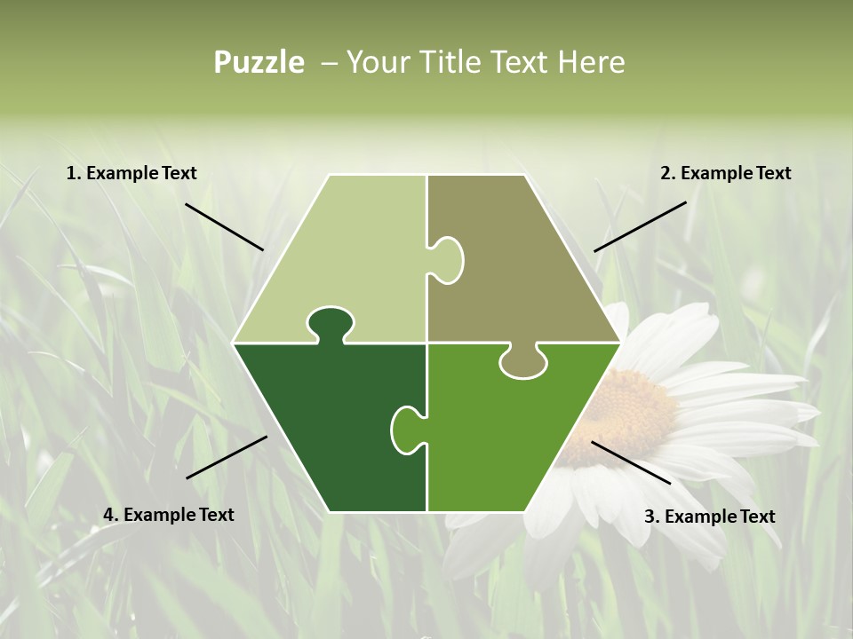 Sunlight Herbal Growth PowerPoint Template