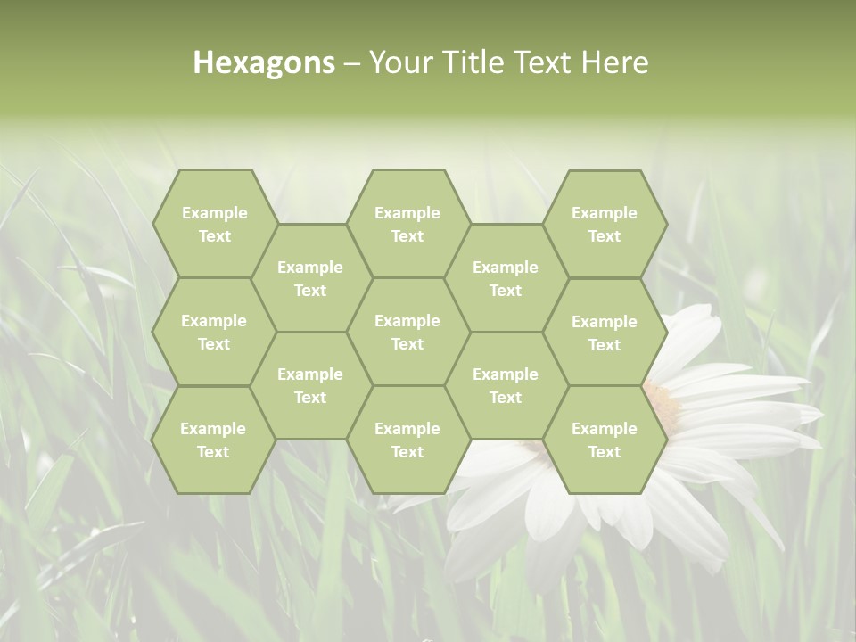 Sunlight Herbal Growth PowerPoint Template