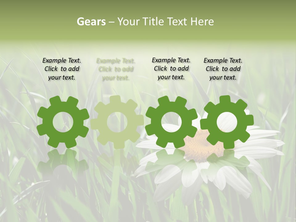 Sunlight Herbal Growth PowerPoint Template