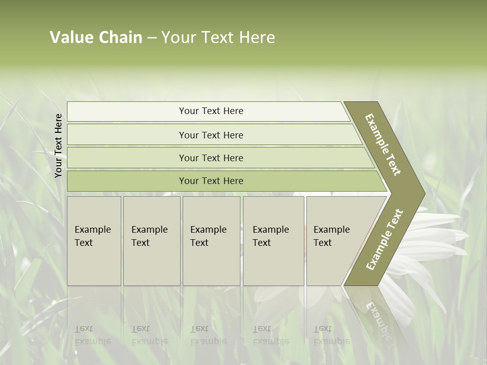 Sunlight Herbal Growth PowerPoint Template