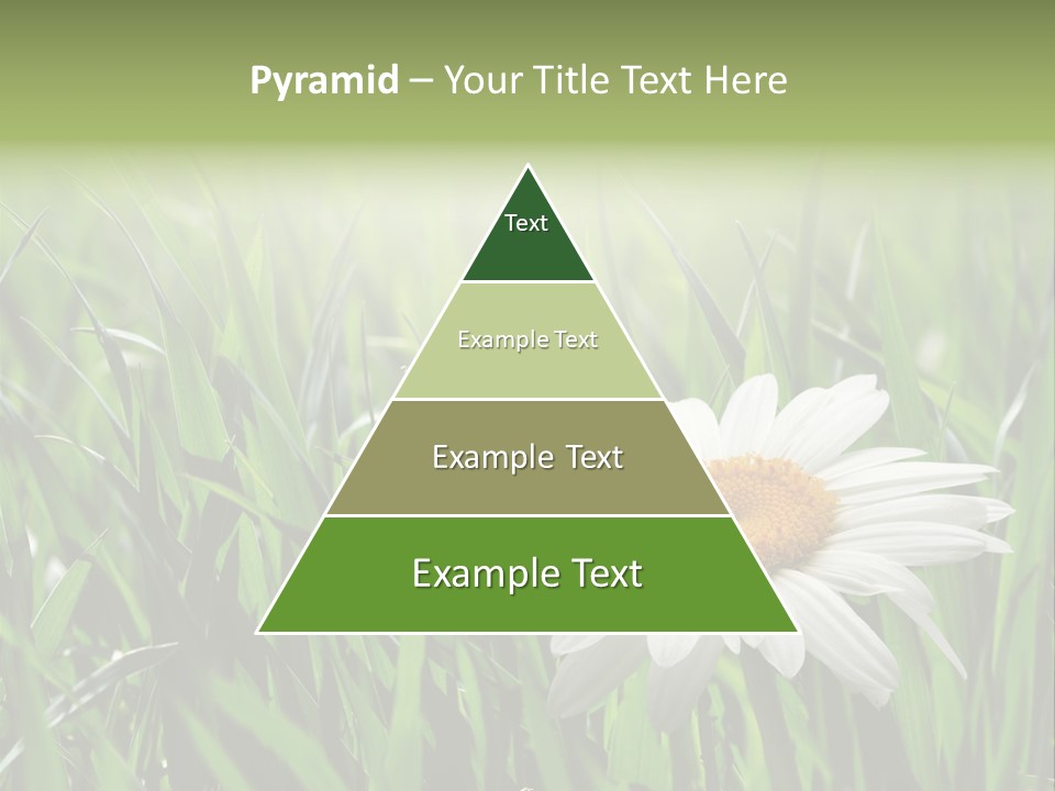 Sunlight Herbal Growth PowerPoint Template