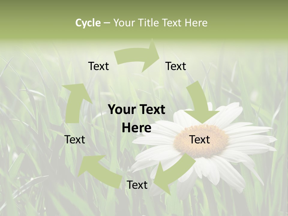 Sunlight Herbal Growth PowerPoint Template